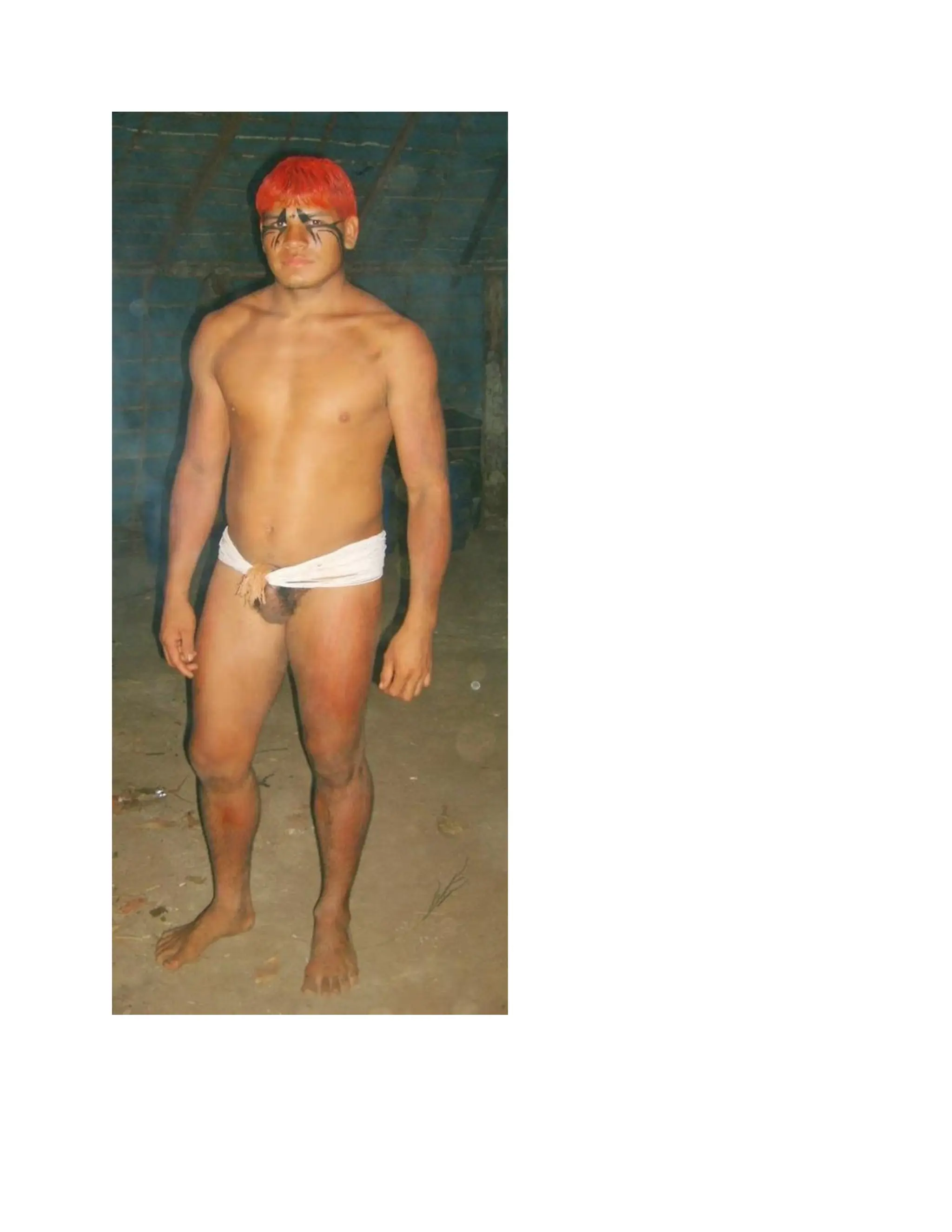 INDIGENOUS NATIVE INDIANS ASIANS COLONIZATION CONQUEST AND THE MAJORITY.pdf