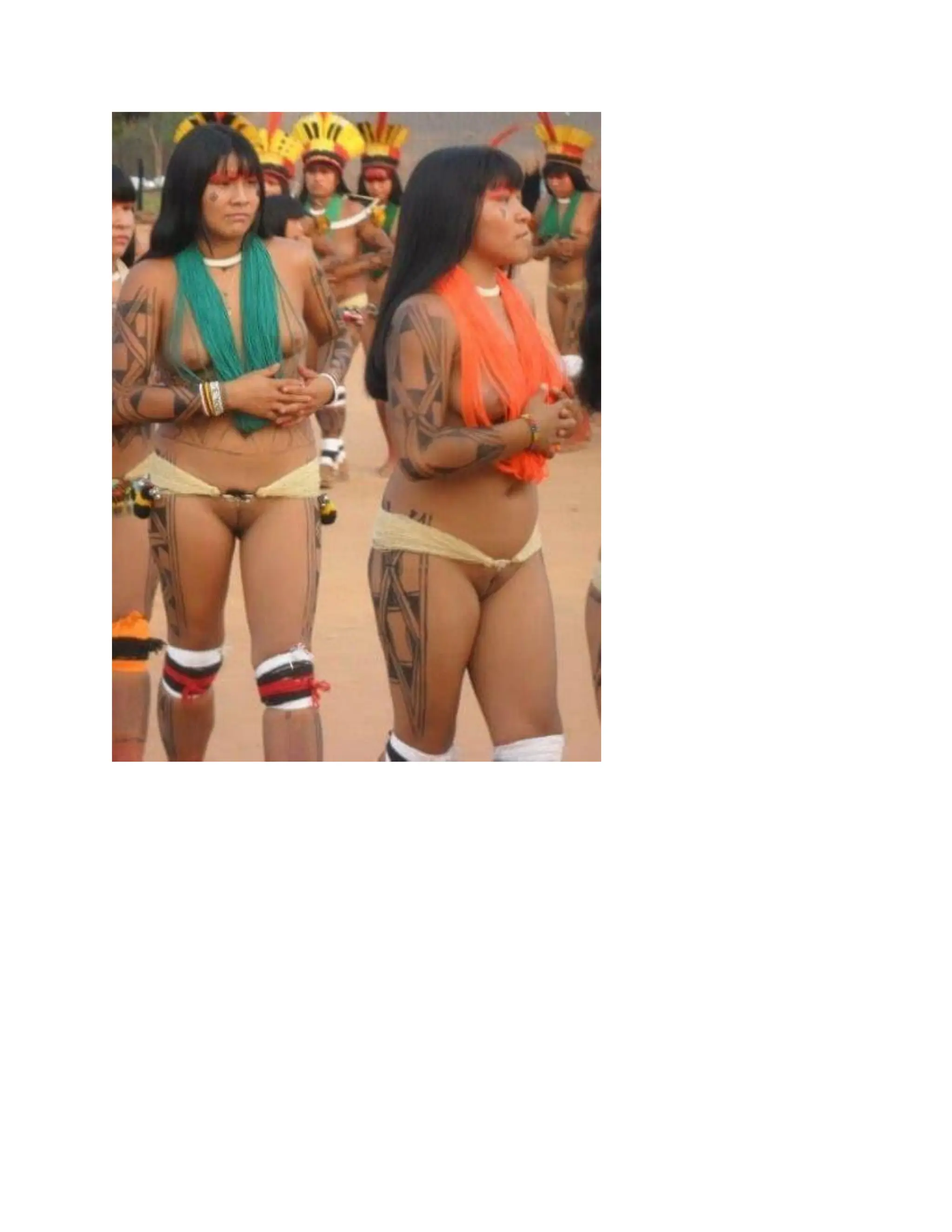 INDIGENOUS NATIVE INDIANS ASIANS COLONIZATION CONQUEST AND THE MAJORITY.pdf