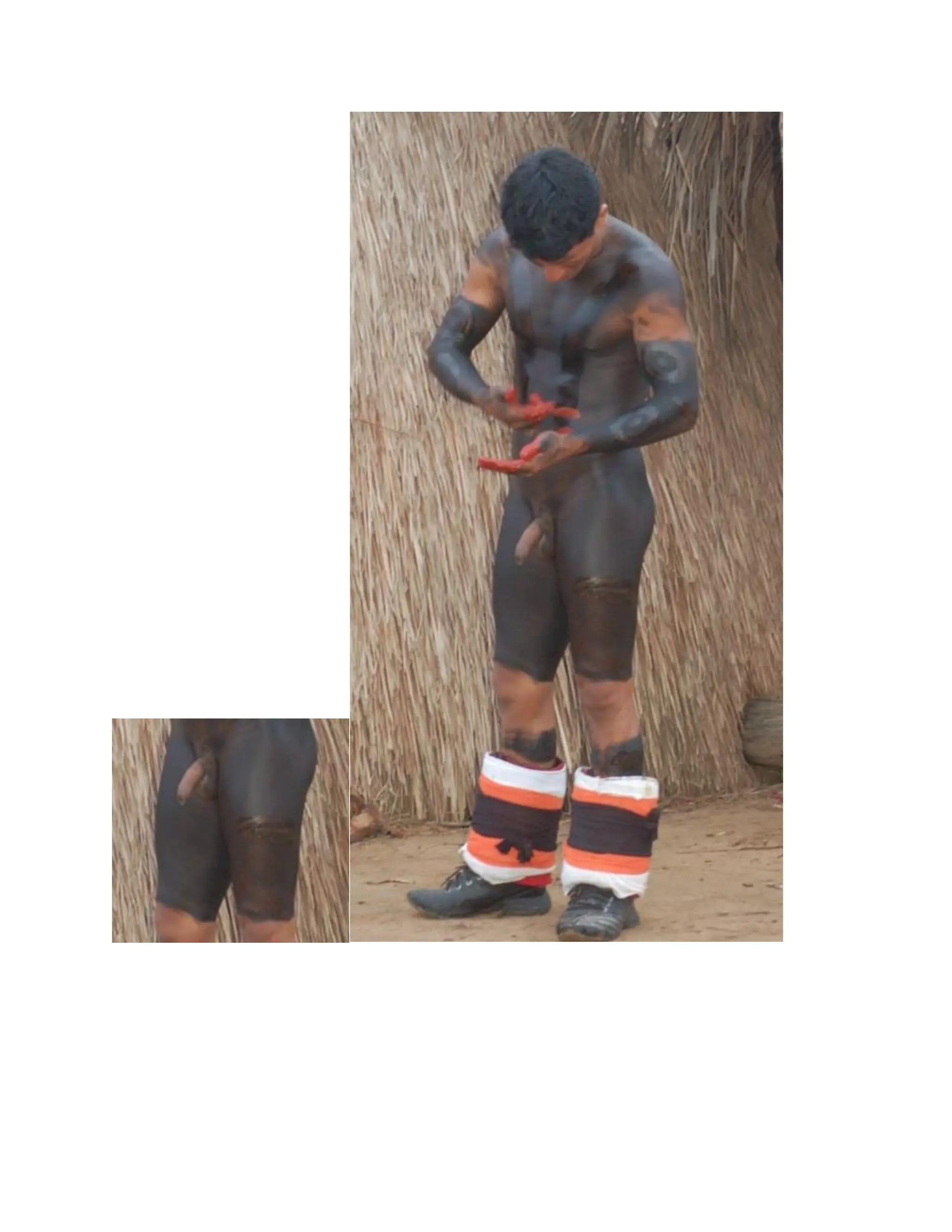 INDIGENOUS NATIVE INDIANS ASIANS COLONIZATION CONQUEST AND THE MAJORITY.pdf