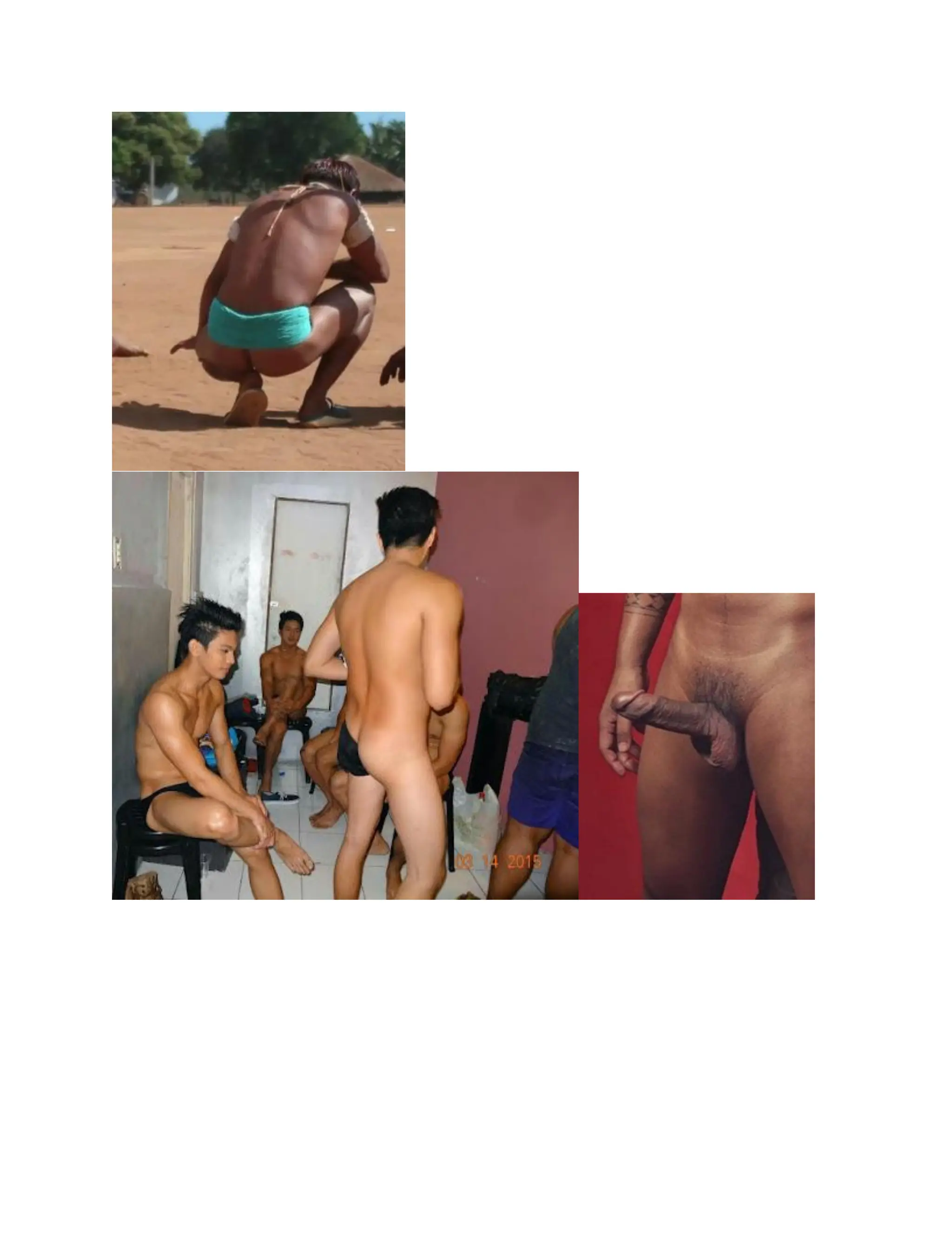 INDIGENOUS NATIVE INDIANS ASIANS COLONIZATION CONQUEST AND THE MAJORITY.pdf