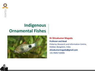 KVAFSU
Indigenous
Ornamental Fishes
Dr Shivakumar Magada
Professor and Head
Fisheries Research and Information Centre,
Hebbal, Bangalore, India
shivakumarmagada@gmail.com
+91-99457 83906
 