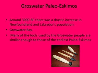 Groswater Paleo-EskimosAround 3000 BP there was a drastic increase in Newfoundland and Labrador's population.Groswater Bay. Many of the tools used by the Groswater people are similar enough to those of the earliest Paleo-Eskimos