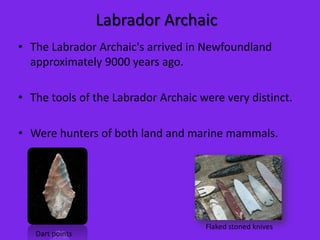 Labrador ArchaicThe Labrador Archaic's arrived in Newfoundland approximately 9000 years ago.The tools of the Labrador Archaic were very distinct.Were hunters of both land and marine mammals.Flaked stoned knivesDart points