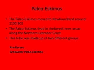 Paleo-Eskimos The Paleo-Eskimos moved to Newfoundland around 2100 BCEThe Paleo-Eskimos lived in sheltered inner-areas along the Northern Labrador Coast.This tribe was made up of two different groups:      Pre-Dorset      Groswater Paleo-Eskimos