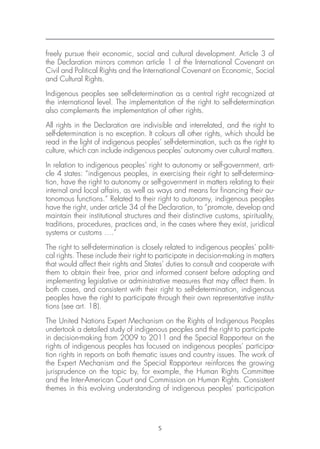 Indigenous People and the United Nations Human Rights System | PDF
