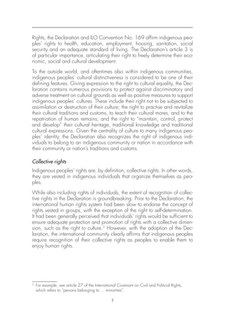 Indigenous People and the United Nations Human Rights System | PDF