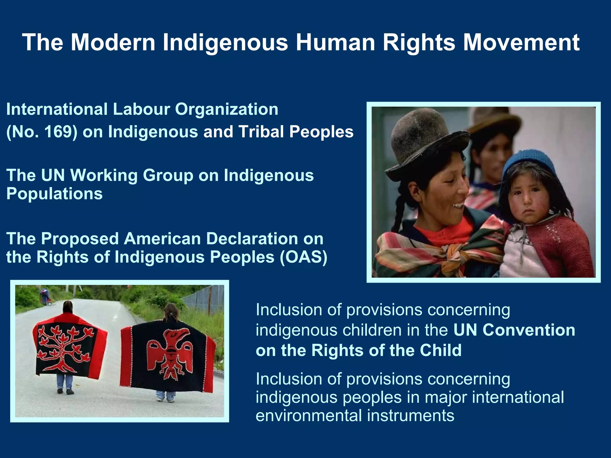 Indigenous Peoples Property Rights in the Inter-American Human Rights ...