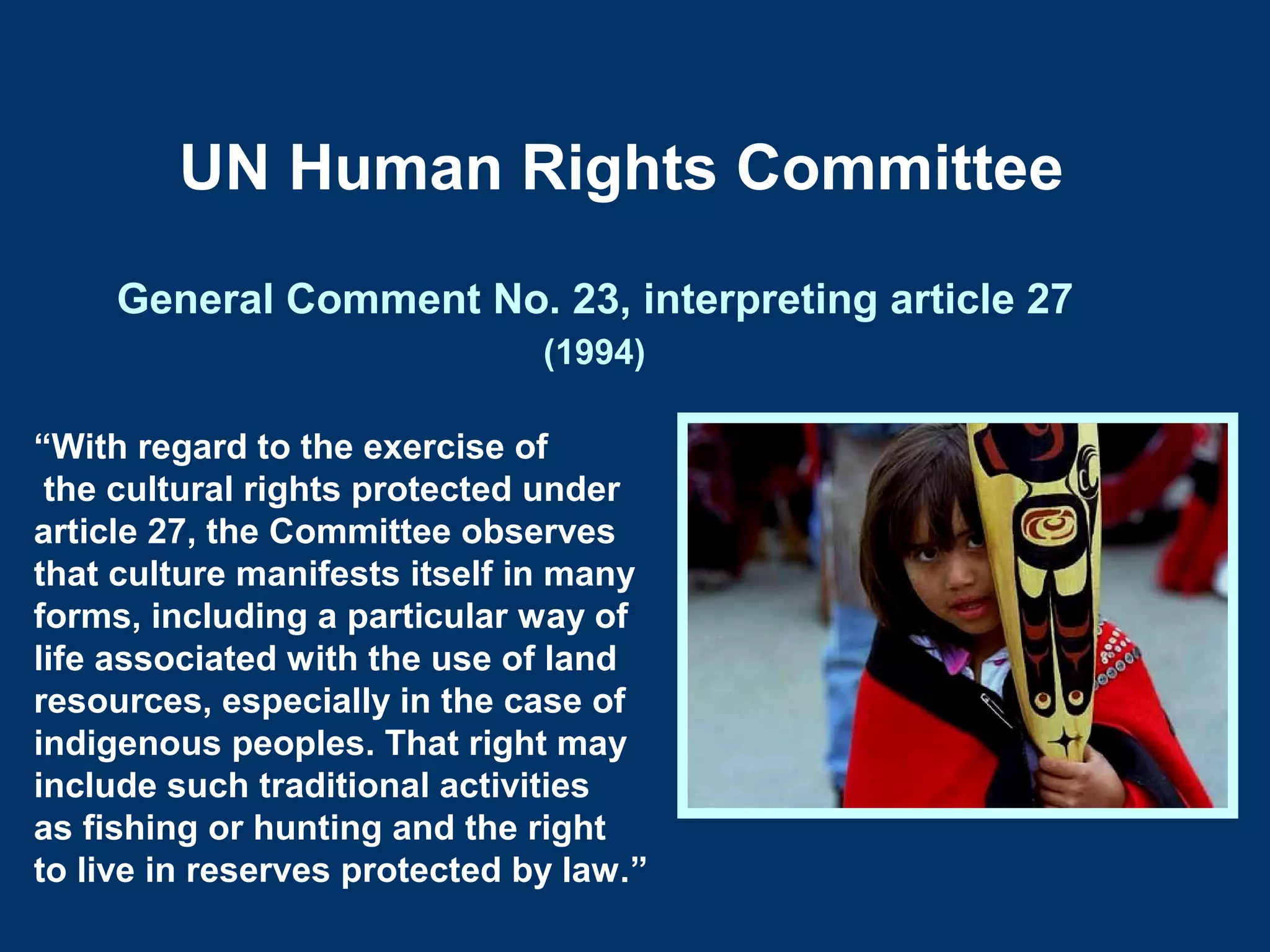 Indigenous Peoples Property Rights in the Inter-American Human Rights ...