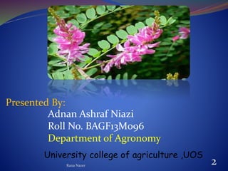 Presented By:
Adnan Ashraf Niazi
Roll No. BAGF13M096
Department of Agronomy
2Rana Nazer
University college of agriculture ,UOS
 