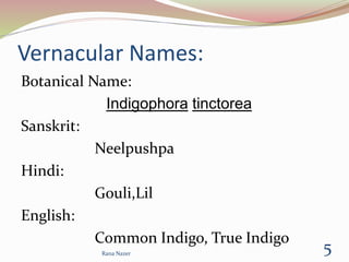 Vernacular Names:
Botanical Name:
Indigophora tinctorea
Sanskrit:
Neelpushpa
Hindi:
Gouli,Lil
English:
Common Indigo, True Indigo
5Rana Nazer
 