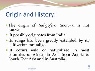 Origin and History:
 The origin of Indigofera tinctoria is not
known
 It possibly originates from India.
 Its range has been greatly extended by its
cultivation for indigo
 It occurs wild or naturalized in most
countries of Africa, in Asia from Arabia to
South-East Asia and in Australia.
6Rana Nazer
 