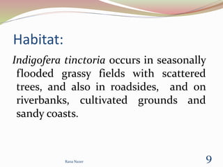 Habitat:
Indigofera tinctoria occurs in seasonally
flooded grassy fields with scattered
trees, and also in roadsides, and on
riverbanks, cultivated grounds and
sandy coasts.
9Rana Nazer
 