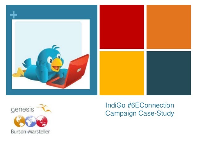 Case study indigo books and music
