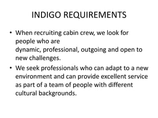 indigo cabin bolsa