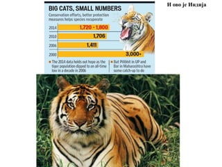 И ово је Индија
 