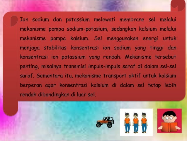 Transpor aktif