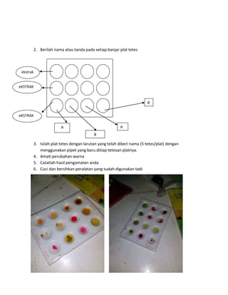 2. Berilah nama atau tanda pada setiap banjar plat tetes

ekstrak

eKSTRAK

B
eKSTRAK
A

A
B

3. Isilah plat tetes dengan larutan yang telah diberi nama (5 tetes/plat) dengan
menggunakan pipet yang baru ditiap tetesan platnya.
4. Amati perubahan warna
5. Catatlah hasil pengamatan anda
6. Cuci dan bersihkan peralatan yang sudah digunakan tadi

 
