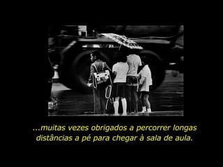 ...muitas vezes obrigados a percorrer longas distâncias a pé para chegar à sala de aula. 
