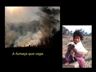 A fumaça que cega.  