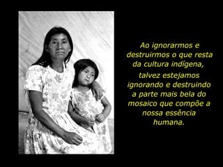 Ao ignorarmos e destruirmos o que resta da cultura indígena,  talvez estejamos ignorando e destruindo a parte mais bela do mosaico que compõe a nossa essência humana. 