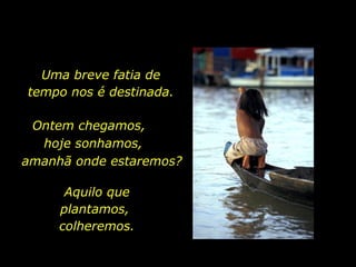 Uma breve fatia de tempo nos é destinada. Aquilo que plantamos,  colheremos. Ontem chegamos,  hoje sonhamos,  amanhã onde estaremos? 