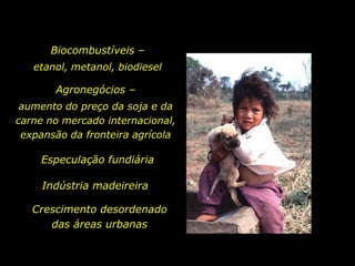 Biocombustíveis – etanol, metanol, biodiesel Agronegócios – aumento do preço da soja e da carne no mercado internacional, expansão da fronteira agrícolaEspeculação fundiáriaIndústria madeireiraCrescimento desordenado das áreas urbanas