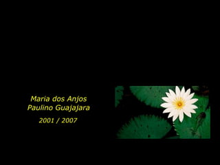 Maria dos Anjos Paulino Guajajara2001 / 2007