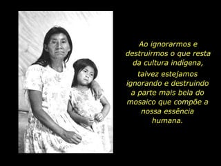 Ao ignorarmos e destruirmos o que resta da cultura indígena, talvez estejamos ignorando e destruindo a parte mais bela do mosaico que compõe a nossa essência humana.