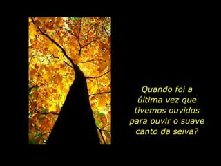 Quando foi a         última vez que tivemos ouvidos   para ouvir o suave canto da seiva?