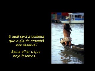 E qual será a colheita          que o dia de amanhã                      nos reserva?Basta olhar o que hoje fazemos...