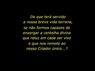 De que terá servido                                  a nossa breve vida terrena,se não formos capazes de               enxergar a centelha divina                     que reluz em cada ser vivoe que nos remete ao               nosso Criador único...?