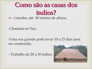 Como são as casas dos índios? - G randes, até  40 metros de altura; Chamam-se Oca; Uma oca grande pode levar 10 a 15 dias para ser construída; Trabalho de 20 a 30 índios. 