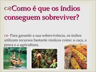 Como é que os índios conseguem sobreviver? - Para garantir a sua sobrevivência, os índios utilizam recursos bastante rústicos como: a caça, a pesca e a agricultura. 