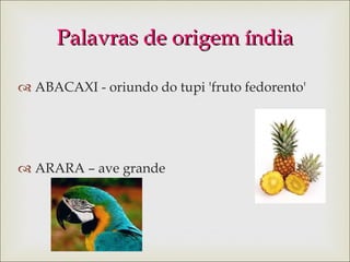 ABACAXI - oriundo do tupi 'fruto fedorento' ARARA – ave grande Palavras de origem índia 