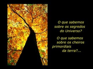 O que sabemos
                           sobre os segredos
                              do Universo?

                             O que sabemos
                             sobre os cheiros
                          primordiais
                                da terra?...



holdemqueen@hotmail.com
 