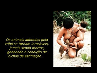 Os animais adotados pela
       tribo se tornam intocáveis,
          jamais sendo mortos,
         ganhando a condição de
         bichos de estimação.



holdemqueen@hotmail.com
 