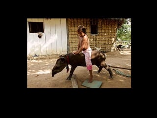 holdemqueen@hotmail.com
 