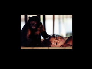 holdemqueen@hotmail.com
 