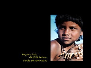Pequeno índio
                               da etnia Xucuru,
                          Sertão pernambucano

holdemqueen@hotmail.com
 