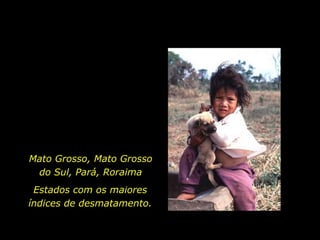 Mato Grosso, Mato Grosso
              do Sul, Pará, Roraima
              Estados com os maiores
             índices de desmatamento.


holdemqueen@hotmail.com
 