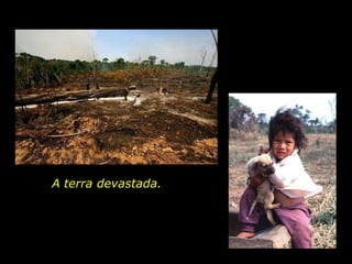 A terra devastada.




holdemqueen@hotmail.com
 