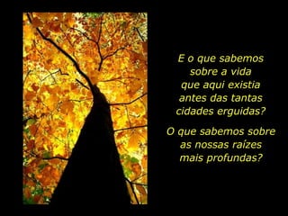 E o que sabemos
                              sobre a vida
                            que aqui existia
                            antes das tantas
                           cidades erguidas?

                          O que sabemos sobre
                            as nossas raízes
                            mais profundas?




holdemqueen@hotmail.com
 