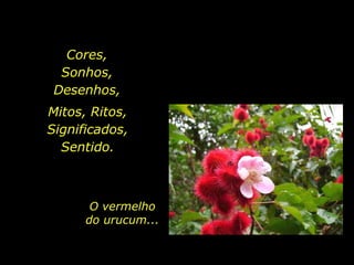 Cores,
                           Sonhos,
                          Desenhos,
                    Mitos, Ritos,
                    Significados,
                      Sentido.



                               O vermelho
                              do urucum...


holdemqueen@hotmail.com
 