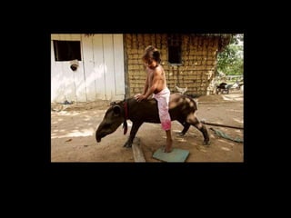 holdemqueen@hotmail.com
 