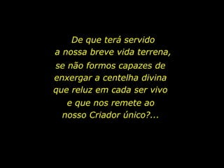 De que terá servido
                          a nossa breve vida terrena,
                          se não formos capazes de
                          enxergar a centelha divina
                          que reluz em cada ser vivo
                             e que nos remete ao
                            nosso Criador único?...




holdemqueen@hotmail.com
 