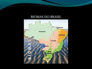 BIOMAS DO BRASIL
 
