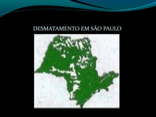 DESMATAMENTO EM SÃO PAULO
 