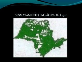 DESMATAMENTO EM SÃO PAULO 1920
 