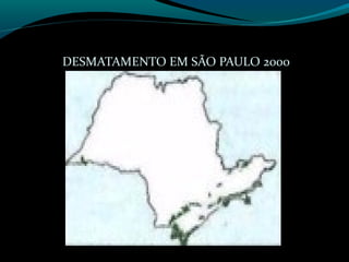 DESMATAMENTO EM SÃO PAULO 2000
 