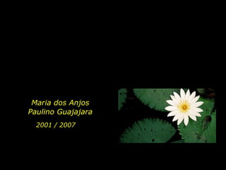 Maria dos Anjos Paulino Guajajara 2001 / 2007   